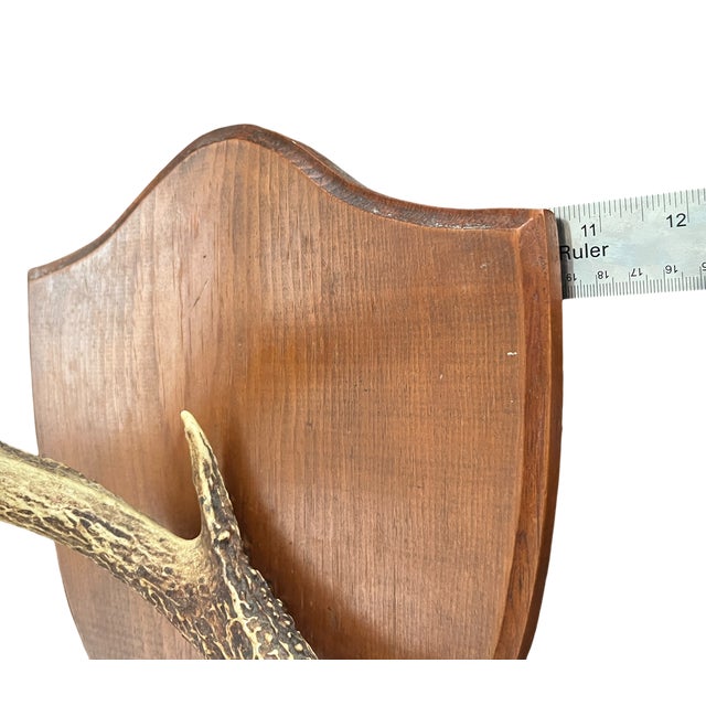 1980s Vintage Single Deer Antler on Wood Shield Plaque – Sculptural Rustic Wall Decor, Ralph Lauren Lodge / Collected Interior Accent For Sale - Image 5 of 6