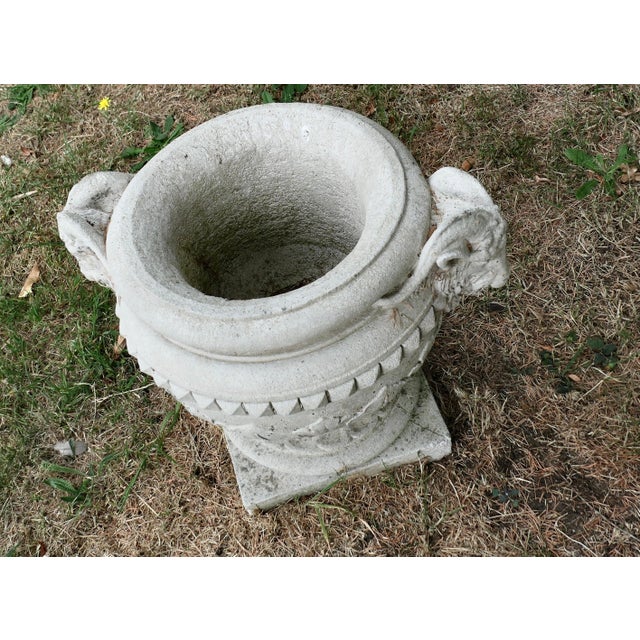 Vintage Rams Head Planter in Stone, 1930 For Sale - Image 6 of 7