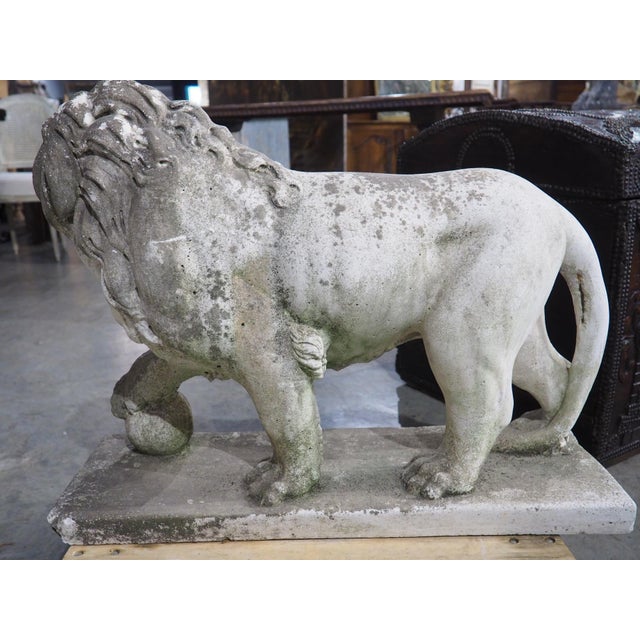 A French Medici Style Lion in Reconstituted Stone, 20th C For Sale - Image 18 of 18