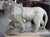 A French Medici Style Lion in Reconstituted Stone, 20th C For Sale - Image 18 of 18