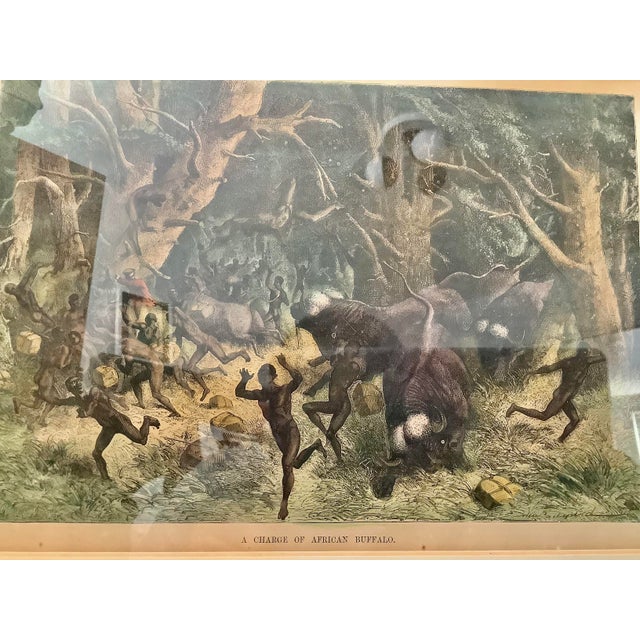 Purchased in CapeTown in the ‘90’s by a relative, this framed antique lithograph depicts a dramatic wildlife and hunting...