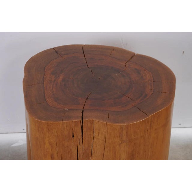 2020s Modern Smooth Teak Tree Trunk Side Table For Sale - Image 5 of 6
