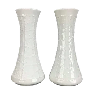 Porcelain Vases from Royal Porzellan Bavaria KPM, 1960s, Set of 2