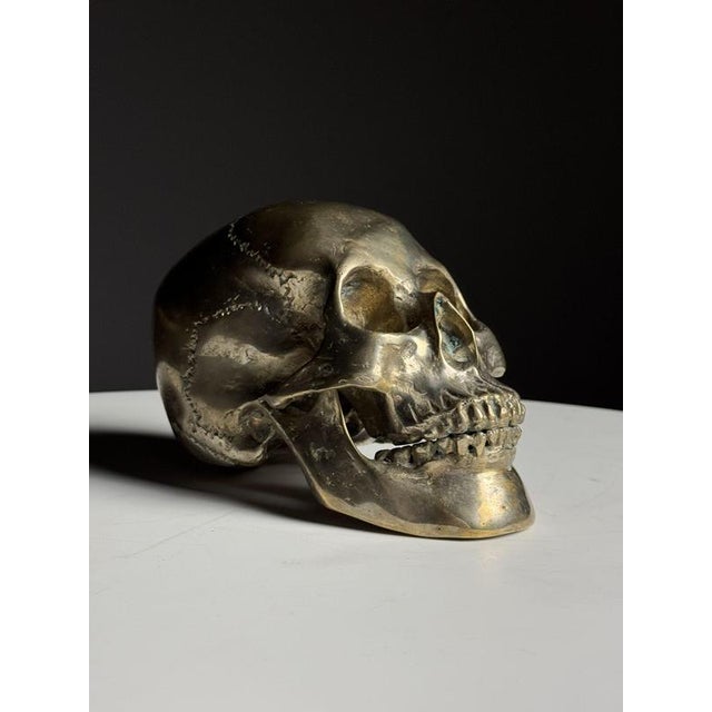 Early 20th Century Bronze Skull For Sale - Image 11 of 14