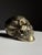 Early 20th Century Bronze Skull For Sale - Image 11 of 14