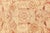 Beige Vintage Pale Beige Background Botanic Indian Amritsar Carpet For Sale - Image 8 of 8
