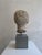 Italian Artist, Head of a Young Woman Sculpture, 1800s, Marble For Sale - Image 10 of 14