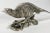 Silver Antique Victorian Silver Plate Pheasant Sculptures, a Pair For Sale - Image 8 of 12
