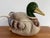Beautifully crafted 1980s Otagiri mallard duck with ladle and hand-painted rich colors. Perfect for dinner parties or as...