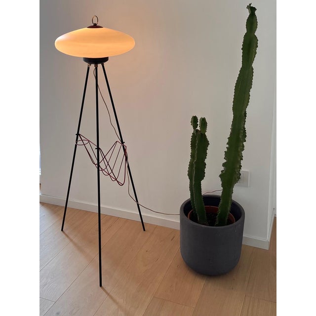 Vintage Floor Lamp with Magazine Rack, 1950s For Sale - Image 4 of 11