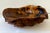 Amazing vintage carved burl wood bowl made by wood artisan Frank Treuting (1921-2003). Large in size.17” x 15” and...