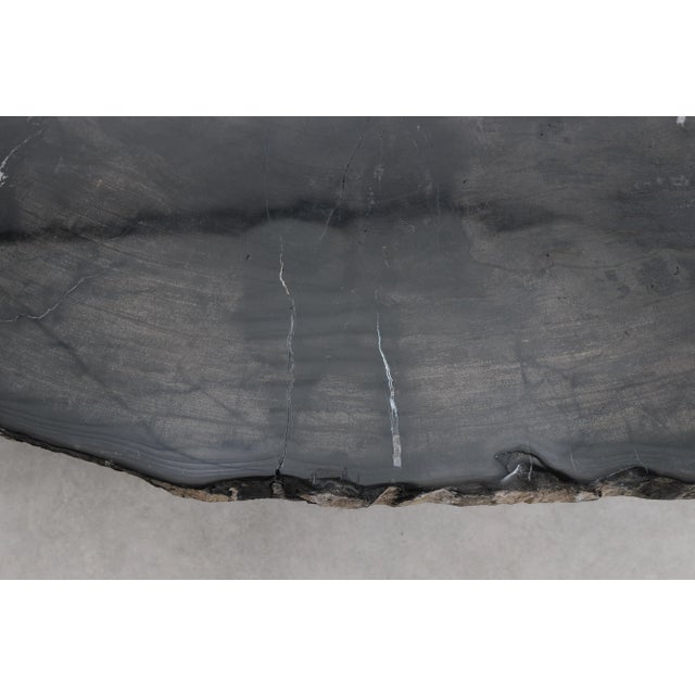 Black Petrified Wood Coffee Table by Xyleia Petrified Wood For Sale - Image 10 of 11