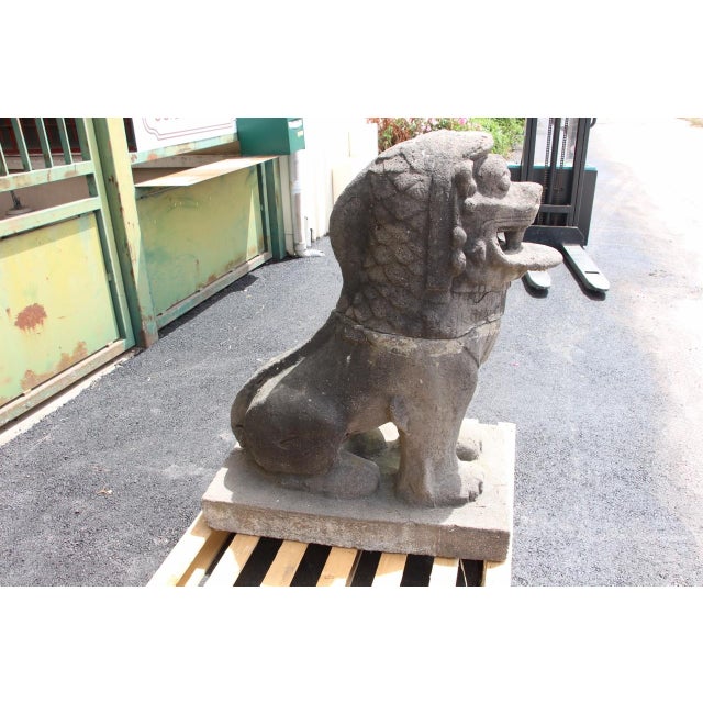 Gray 20th Century Foosball Dogs by Louis Guingot, 1890s, Set of 2 For Sale - Image 8 of 11