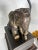 Metal Vintage Cast Bronze Elephant Book Stack Table Lamps by Frederick Cooper - a Pair For Sale - Image 7 of 12