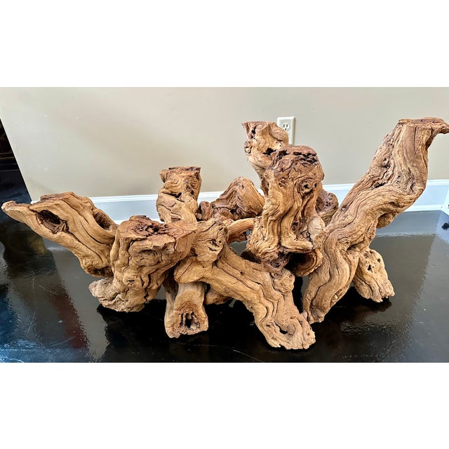1990s Organic Sculptural Grapevine Root Coffee Table, Studio Craft, Glass Top For Sale - Image 5 of 9