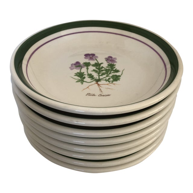 Modern Himark Viola Cenisia Made in Italy Set of 8 Pasta Bowls Chairish