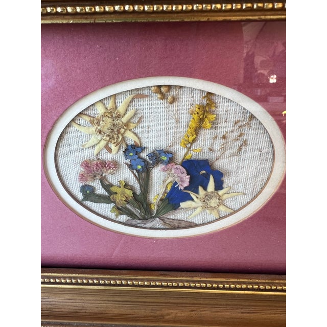 Mid-Century Modern 1960s Dried Flowers Matted and Framed. For Sale - Image 3 of 7