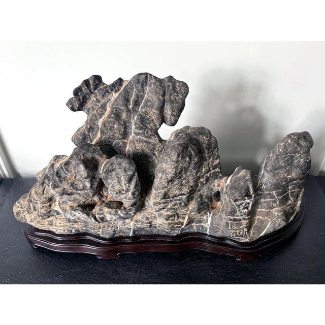 19th Century Large Chinese Horizontal Gray Lingbi Scholar Stone with Grotto on Display Stand For Sale - Image 4 of 12
