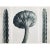 Printmaking Materials 1935 Karl Blossfeldt Two-Sided Photogravure 26-25 For Sale - Image 7 of 10