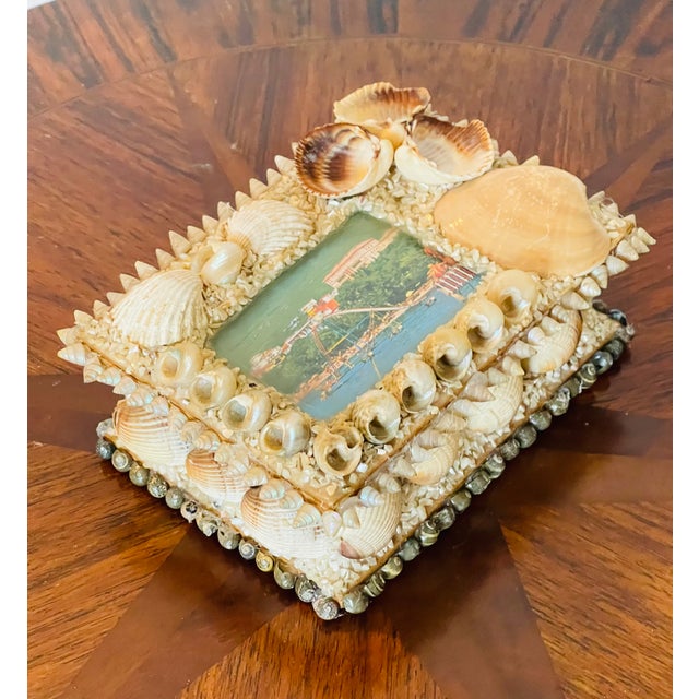 Antique Sailors Valentines Sea Shell Small Box For Sale - Image 4 of 5