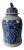 Oriental Blue and White Decorative Porcelain Ginger Jar For Sale