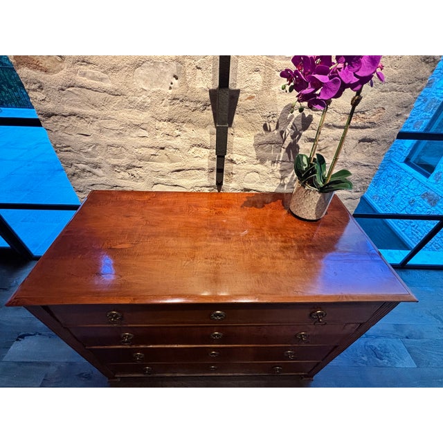 Mid 19th Century Beidermeier Butler's Secretary For Sale - Image 4 of 13
