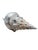 A sculptural, oversized horse conch shell reimagined as a refined decorative object, finished by hand with luminous silver...