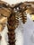 Late 20th Century Pair of Maison Jansen Style Gilt Metal Palm Tree Table Lamps For Sale - Image 9 of 15