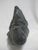 Pitseolak Koperqualuk Large Inuit Nunavik Carved Stone Man & Seal Sculpture For Sale In Portland, OR - Image 6 of 7