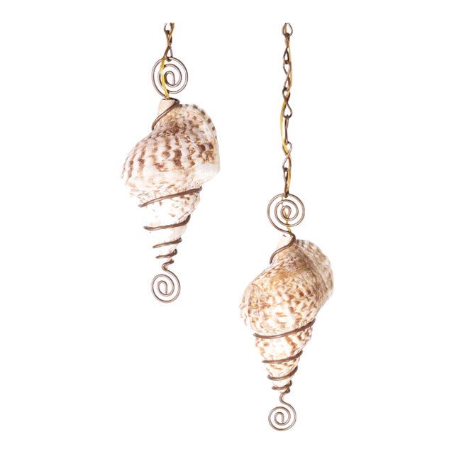 Pair of Triton Shell Pendants For Sale