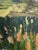 1971 Modernist 'The Hills Beyond' Vintage Original Swedish Expressive Landscape Oil Painting, Framed For Sale - Image 11 of 13