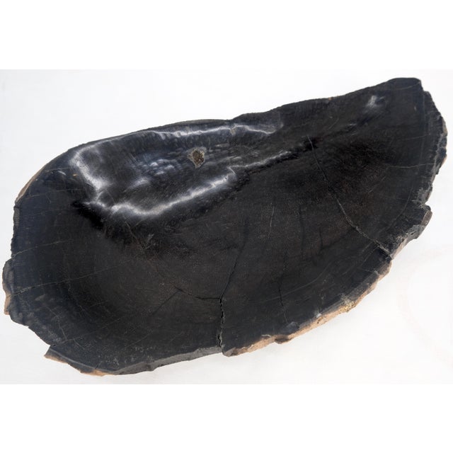 Petrified Wood Round Shape Solid Black Round Bowl Dish Large Plate Ashtray MINT! For Sale - Image 4 of 9