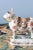 Dutch Delft Polychrome Cow, 18th Century For Sale - Image 6 of 9