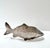 Vintage Silver-Plated Figural Fish Menu Holder or Place Card Stand, Mid-20th Century For Sale In Louisville - Image 6 of 12