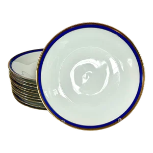 Richard Ginori Palermo Blue Dinner Plates - Set of 11