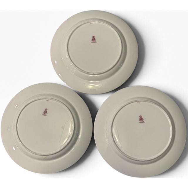 Antique Minton for Tiffany and Co. Gold-Encrusted Dinner Plates - Set of 18 For Sale - Image 16 of 17