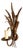 Vintage Gilt Metal Wheat Sheaf Wall Sconce, France, 1960s For Sale