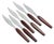 Danish Steak Knives Danish modern and elegantly shaped steak knives feature warm wood handles and serrated high-gloss...