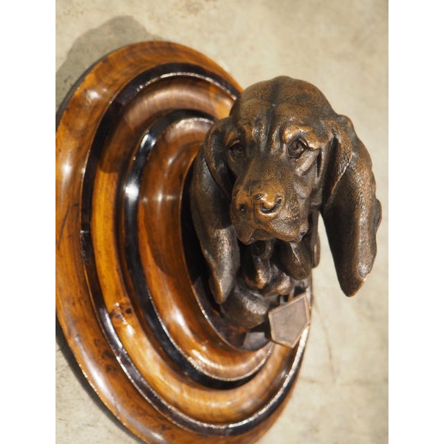 A Signed Antique French Medallion Bronze Bust of the St. Hubert Hound (1851-1925) For Sale - Image 11 of 15