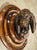 A Signed Antique French Medallion Bronze Bust of the St. Hubert Hound (1851-1925) For Sale - Image 11 of 15