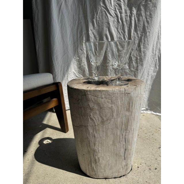 Side Table in White Petrified Wood with Black Spots For Sale - Image 5 of 18