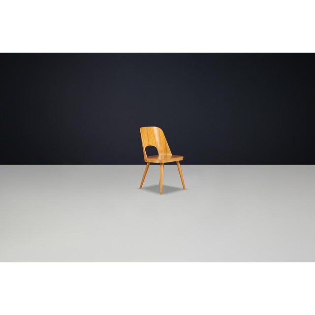 Wood Dining Chairs attributed to Oswald Haerdtl for Ton, Former Czechoslovakia, 1950s, Set of 4 For Sale - Image 7 of 9