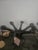 Postmodern Surrealist Hand-Carved Black Mango Wood 'Hands of Eve' Candelabras - A Pair" For Sale In New Orleans - Image 6 of 7