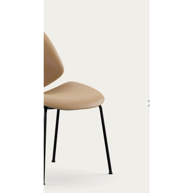 Black Council Family Salon Chair by Salto and Sigsgaard For Sale - Image 8 of 13