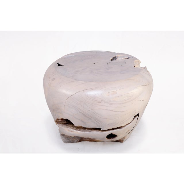 2020s Bleached White Teak Root Accent or Side Table or Stool 23 For Sale - Image 5 of 5