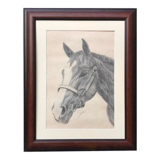 Vintage Original Drawing Portrait of a Horse For Sale