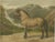 After Eerelman, Norwegian Horse, 1898, Lithograph For Sale