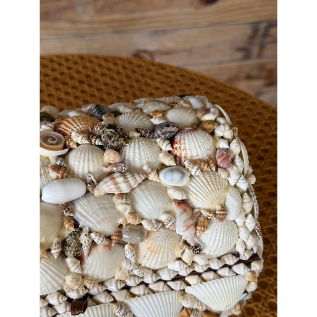 A beautiful vintage handcrafted shell-covered keepsake box showcasing an intricate mosaic of natural seashells in a...