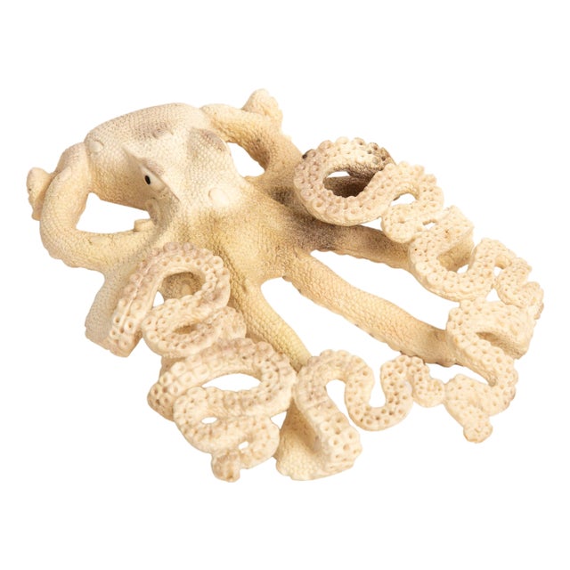 Moose Antler Octopus – Eight Arms of Awesome For Sale
