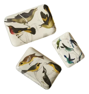 Ornithology Bird Tray, Set of 3